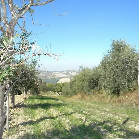 Agriturismo Il Gufo Offida