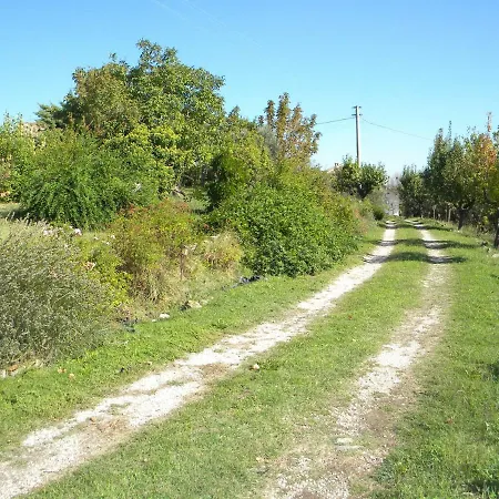 Agriturismo Il Gufo Alloggio per agriturismo Offida