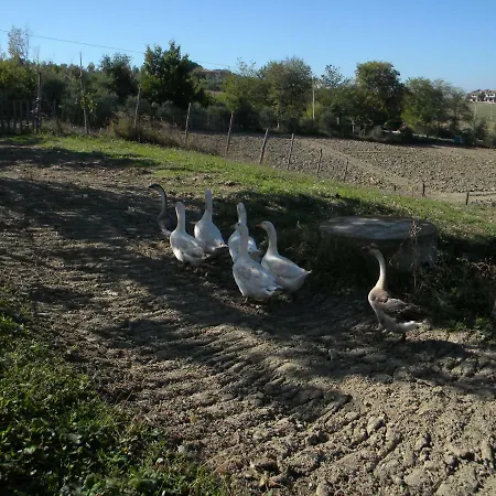 Agriturismo Il Gufo 奥菲达