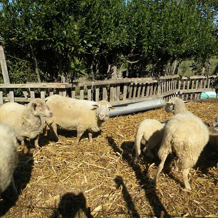 Agriturismo Il Gufo * Offida